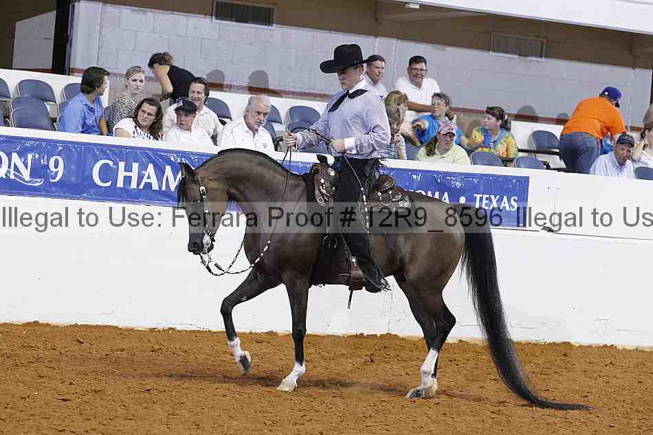Proof 12r9_8596