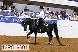 12r9_8601 proof