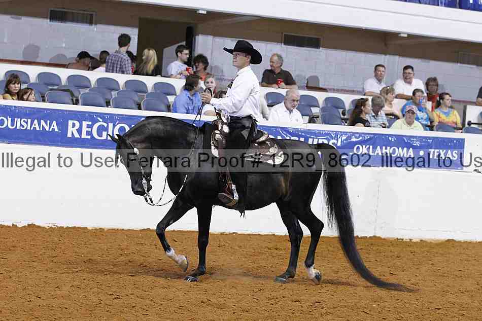 Proof 12r9_8602