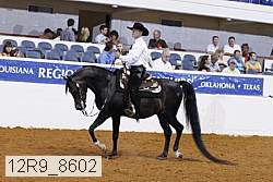 12r9_8602 proof