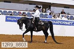 12r9_8603 proof