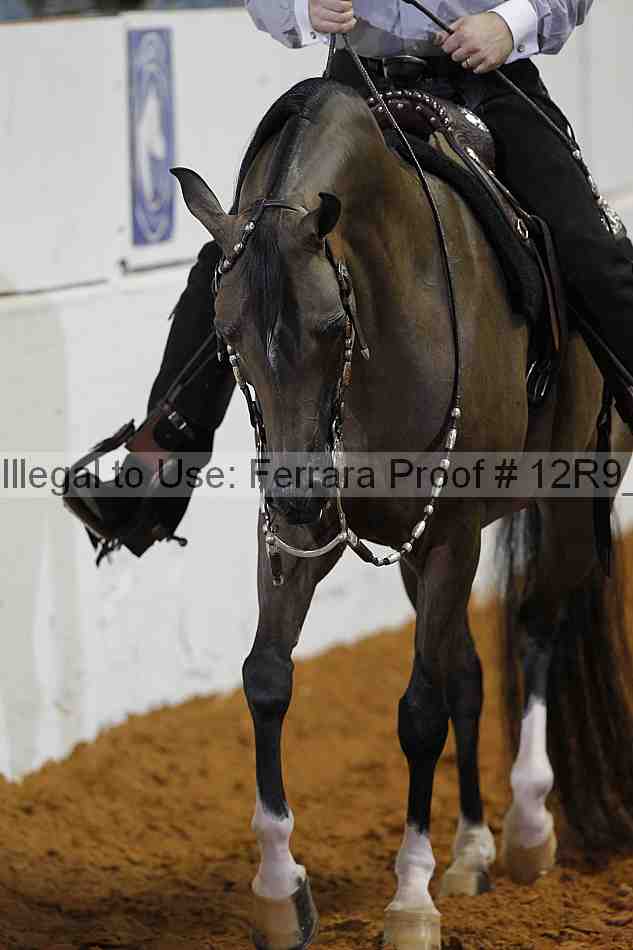 Proof 12r9_8604