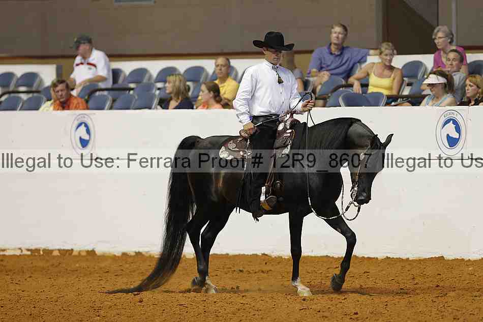 Proof 12r9_8607