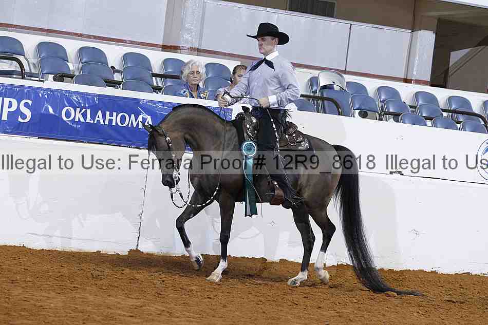 Proof 12r9_8618