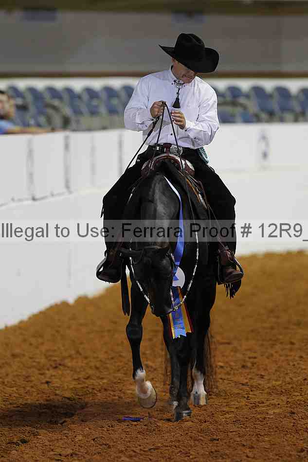 Proof 12r9_8619