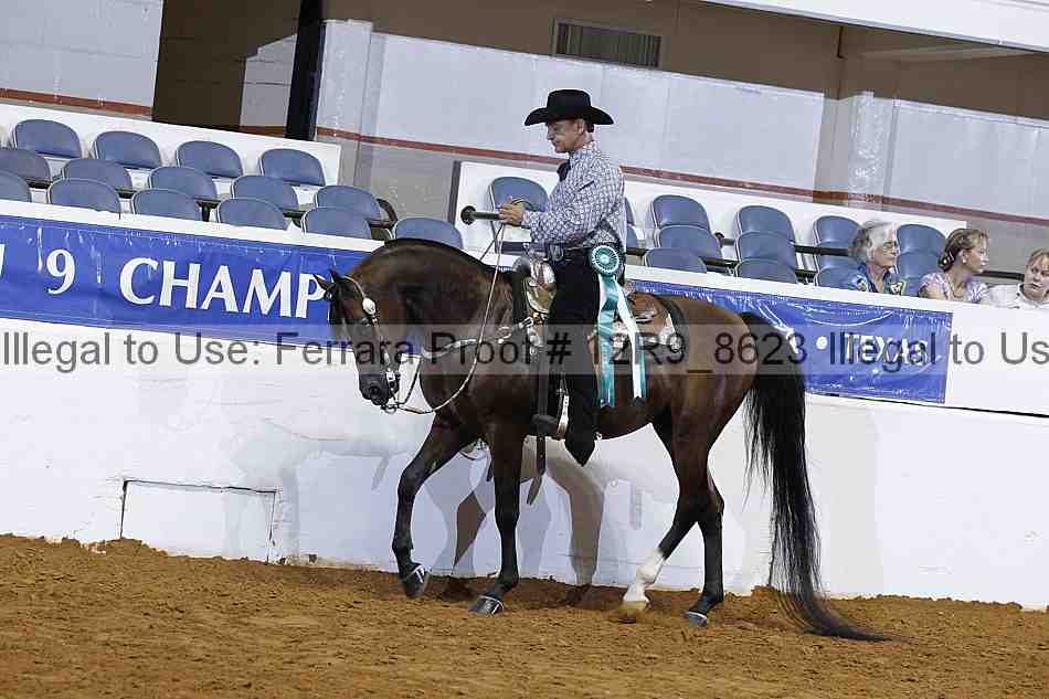 Proof 12r9_8623