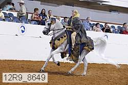 12r9_8649 proof