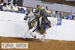 12r9_8656 proof