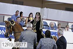 12r9_8677 proof