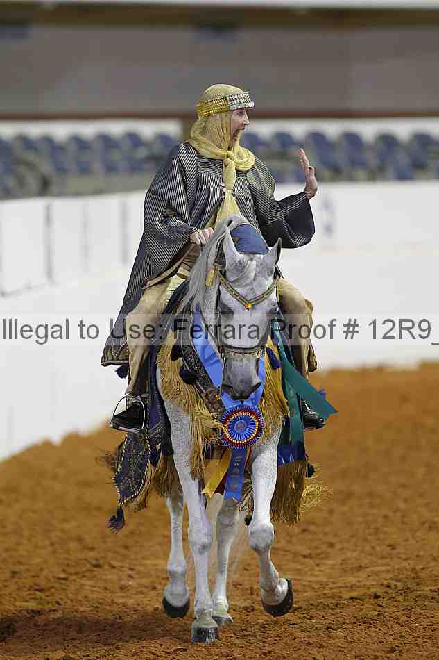 Proof 12r9_8692