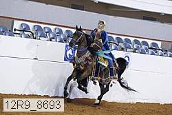 12r9_8693 proof