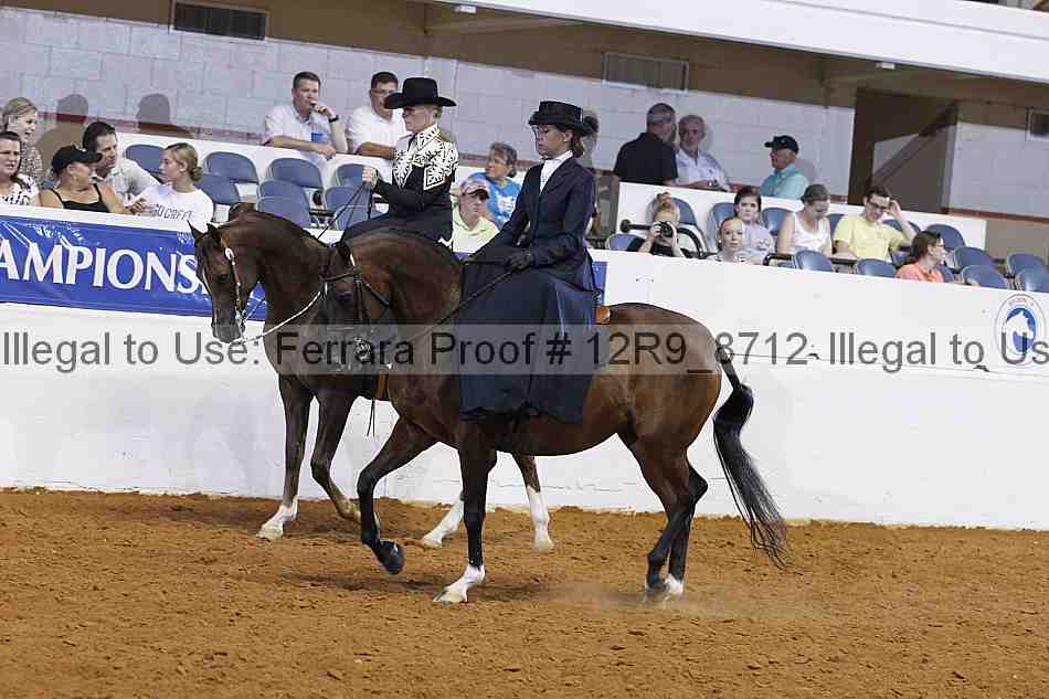 Proof 12r9_8712