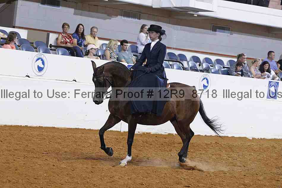 Proof 12r9_8718