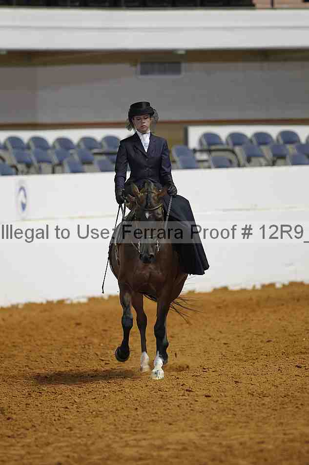 Proof 12r9_8729