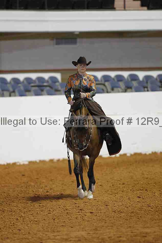 Proof 12r9_8731