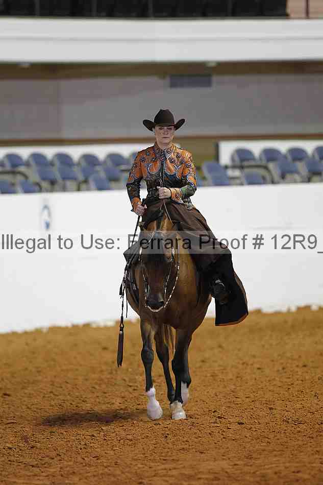 Proof 12r9_8732