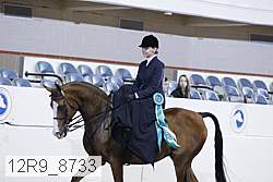 12r9_8733 proof