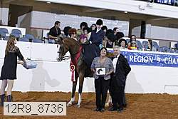 12r9_8736 proof