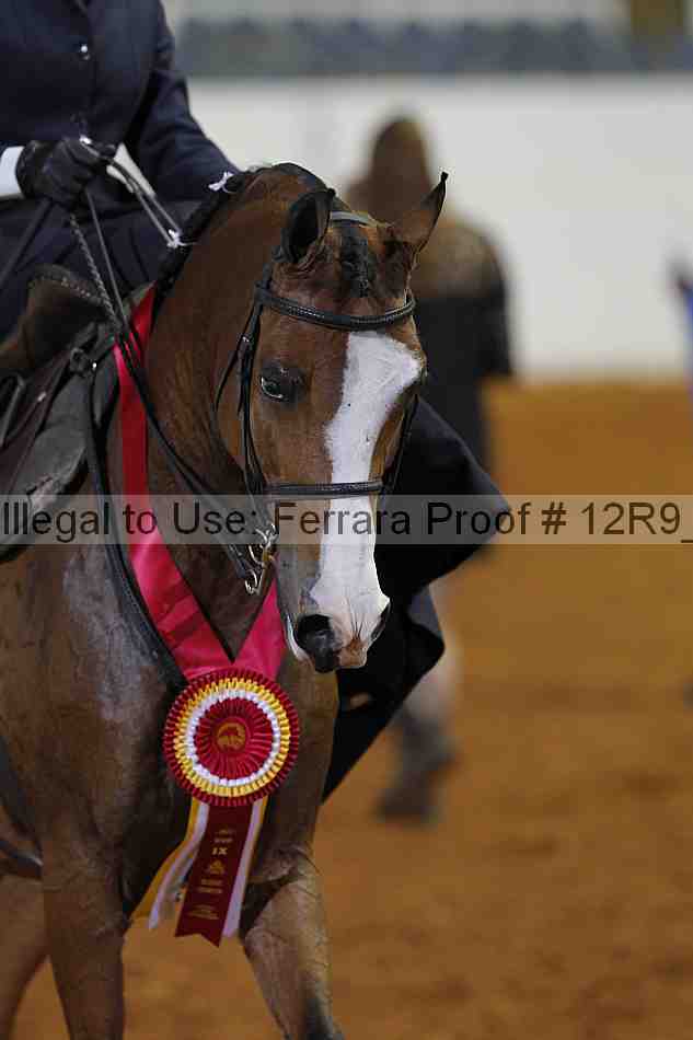 Proof 12r9_8738