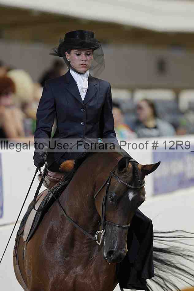 Proof 12r9_8759