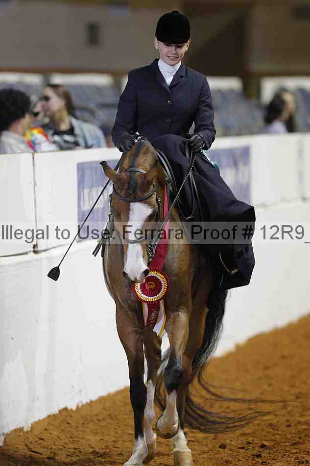 Proof 12r9_8769