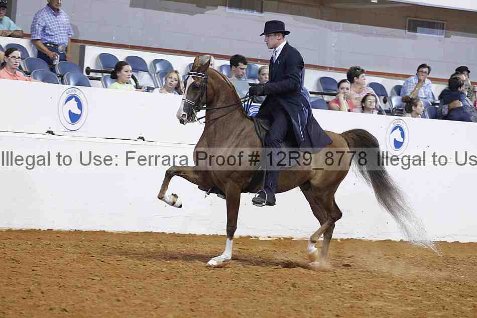 Proof 12r9_8778