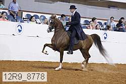 12r9_8778 proof