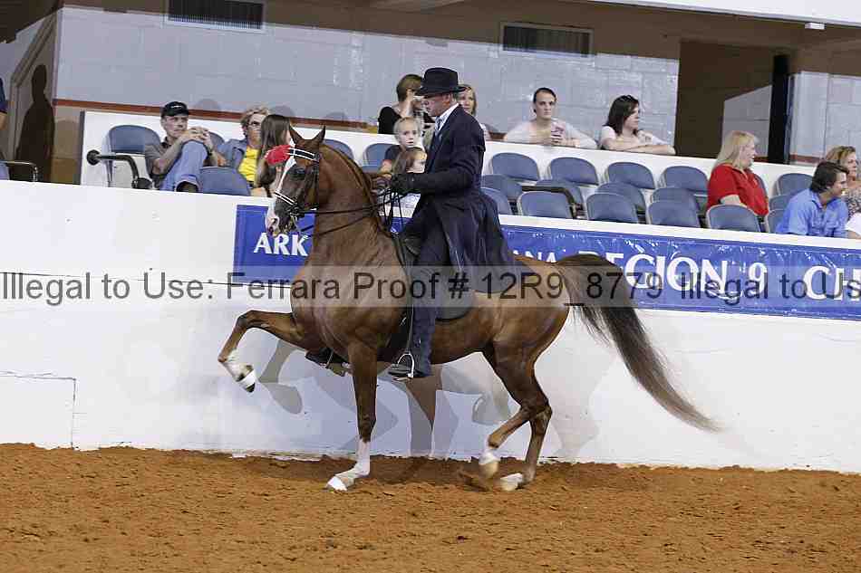 Proof 12r9_8779