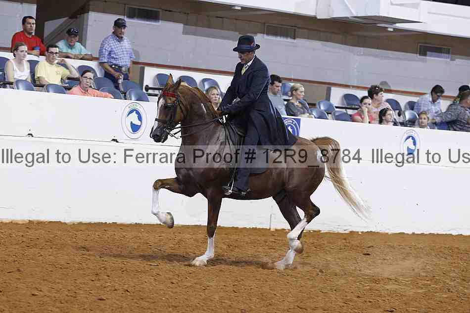 Proof 12r9_8784