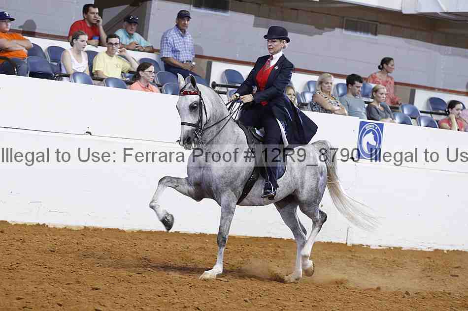 Proof 12r9_8790
