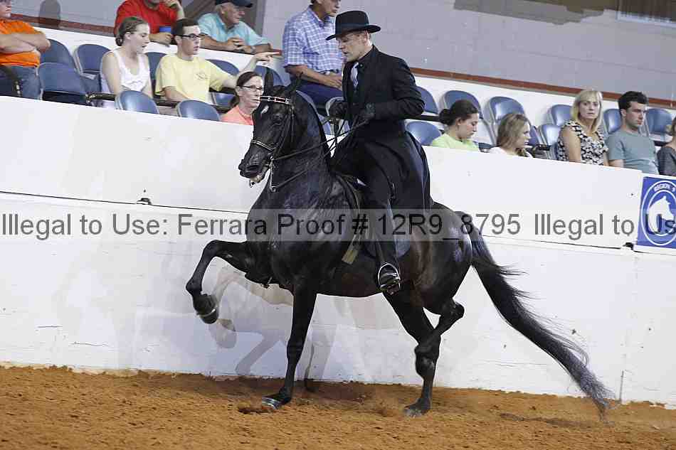 Proof 12r9_8795