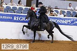 12r9_8796 proof