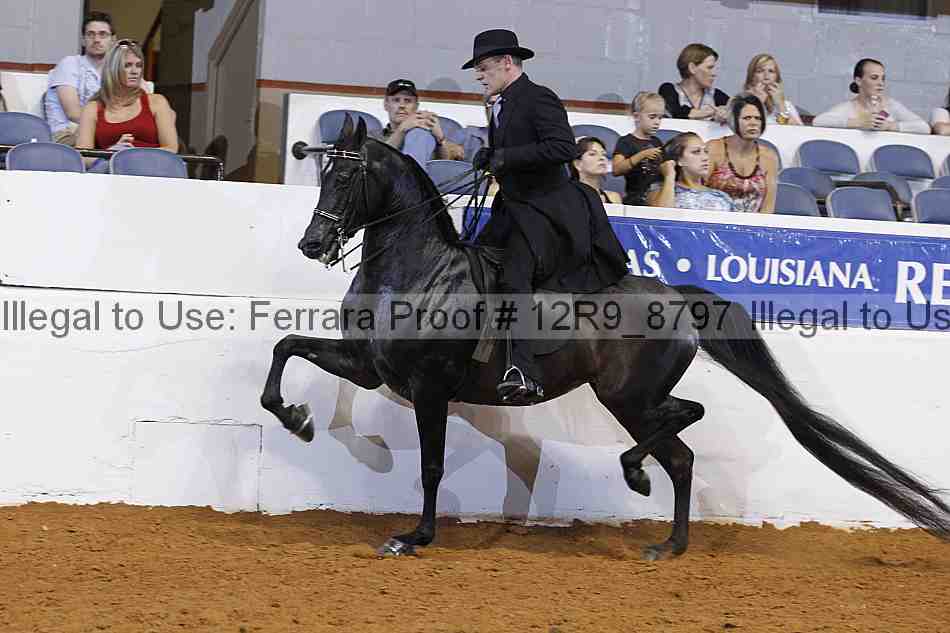 Proof 12r9_8797