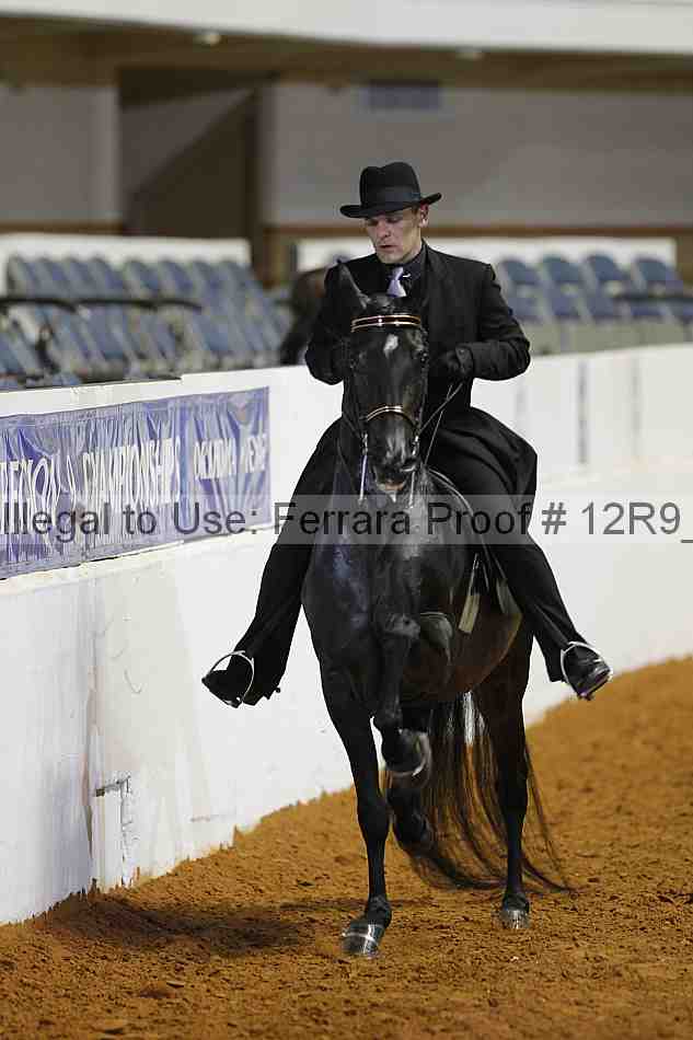 Proof 12r9_8801