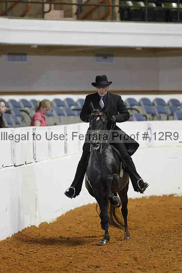 Proof 12r9_8807