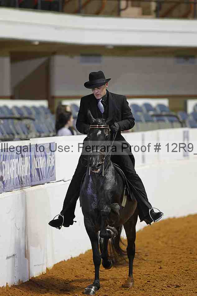 Proof 12r9_8808
