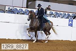 12r9_8827 proof