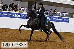 12r9_8832 proof
