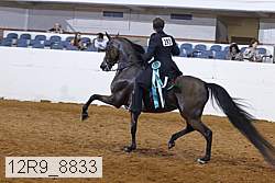 12r9_8833 proof