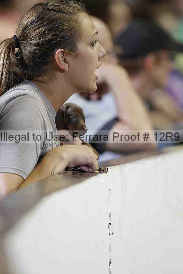 Proof 12r9_7293
