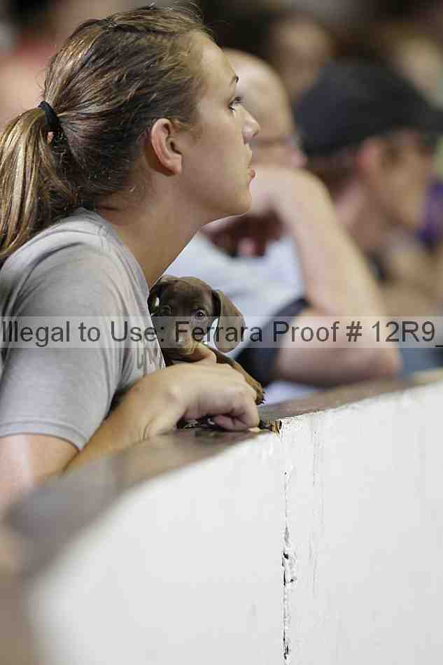 Proof 12r9_7294