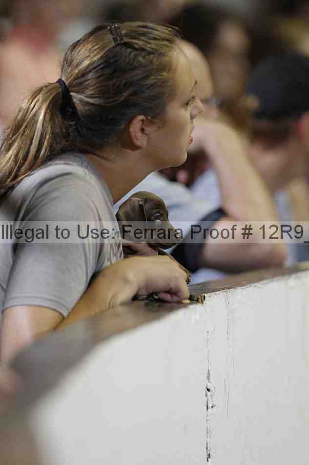 Proof 12r9_7297