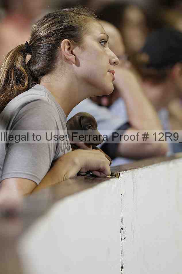 Proof 12r9_7298