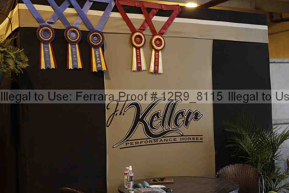 Proof 12r9_8115