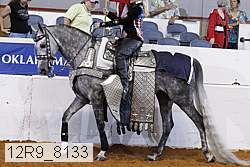 12r9_8133 proof