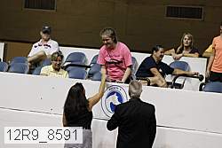 12r9_8591 proof