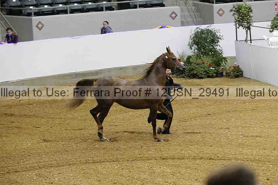 Proof 12usn_29491
