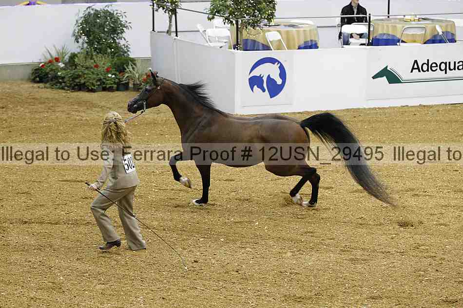 Proof 12usn_29495