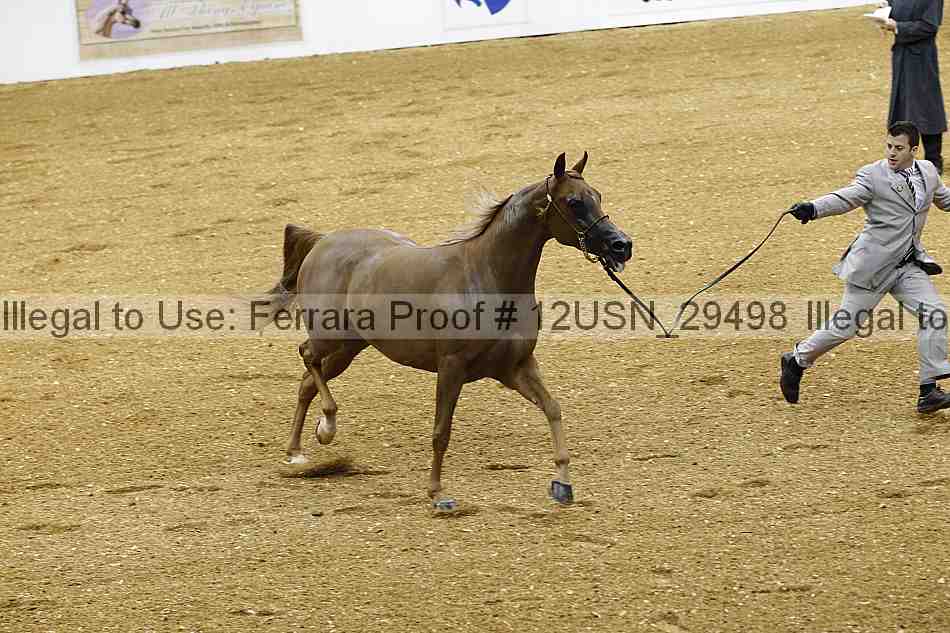 Proof 12usn_29498