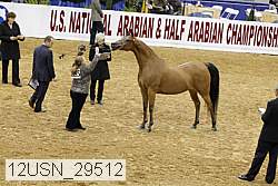 12usn_29512 proof